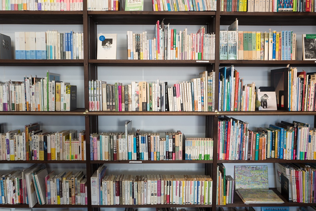 étagères remplies de livres